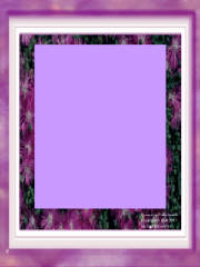 purplepassion.jpg